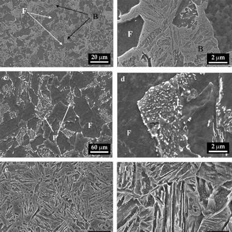 Examples Of Sem Microstructures Before Dilatometric Tests Obtained