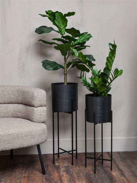 Clyde Planters Black Antique with Black Legs | Libra