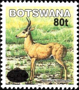 Stamp Southern Reedbuck Redunca Arundium Surcharged Botswana