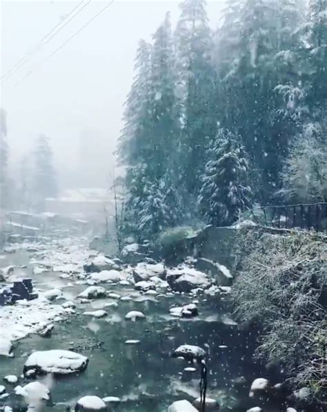 Shimla Manali Is Wrapped In Snow The Scenes Are Breathtaking