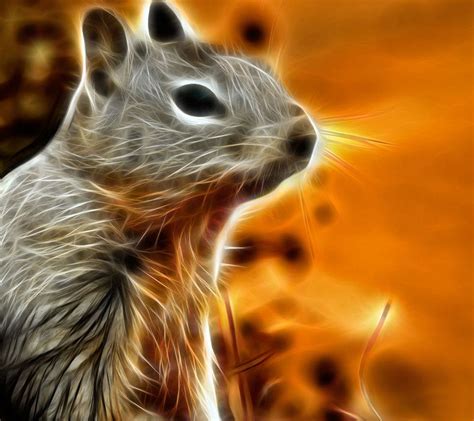 Squirrel Hd Wallpaper 4k Animal Wallpaper Fractal Images Fractal Art