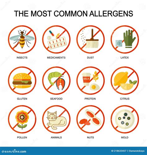 Allergy Symptoms Vector Flat Style Illustration The Most Common