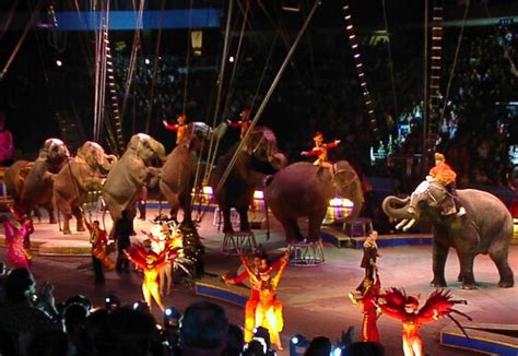 Ringling Bros Circus 2002 Sarah Flickr