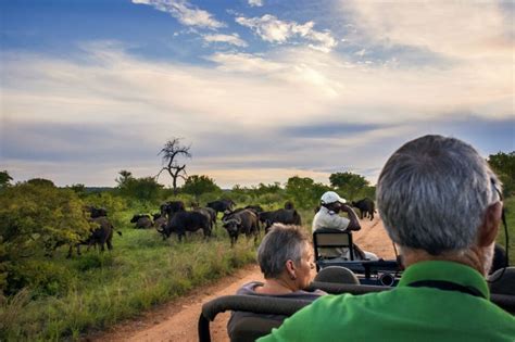 When To Go On A Kruger Safari Discover Africa