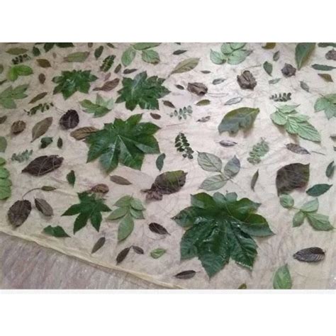 Jual Paket Daun Ecoprint Shopee Indonesia