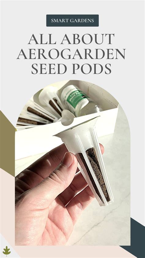 Aerogarden Seed Kit Pods Lavender Seeds Lavender Herb Cherry Tomato