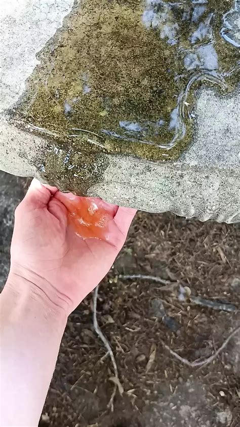 Picnic Pee Shemale Masturbation Masturbation Porn Feat BerryButt01 By FapHouse XHamster