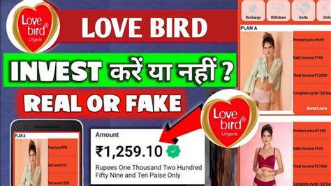 Love Bird App Love Bird App Se Paise Kaise Kamaye Love Bird App