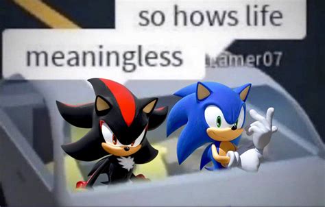 Sonic Meme Sonic Funny Sonic And Shadow Sonic