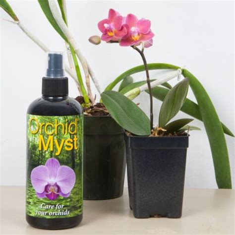 Orchid Myst Natural And Professional Orchid Feed Spray For Sale