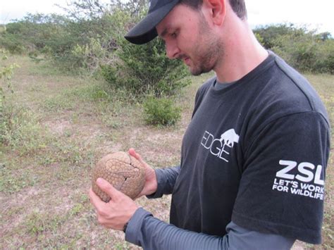 How a Brazilian community is helping three-banded armadillos – Mongabay Kids