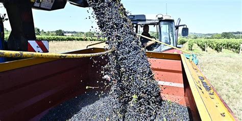 Vin La France En Passe De Redevenir Le Premier Producteur Mondial