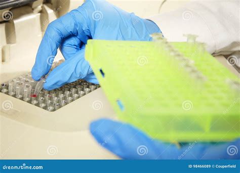 Preparing Of Dna Samples For PCR Process Stock Image Image Of Pipette