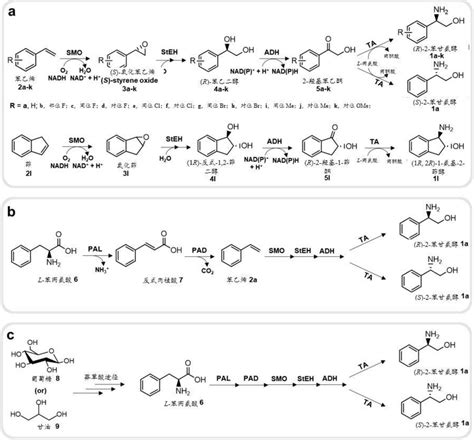 自苯乙烯和可再生原料经人工酶级联的对映纯r 和s 2 苯甘氨醇的生物生产
