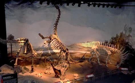 Dinosaurs At Paleontological Museum In Trelew Argentina Flickr