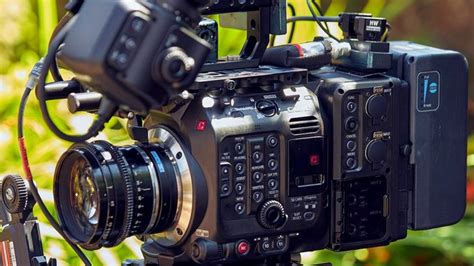 Canon C500 Mark II: Sample Footage and Real-World Execution - Y.M ...