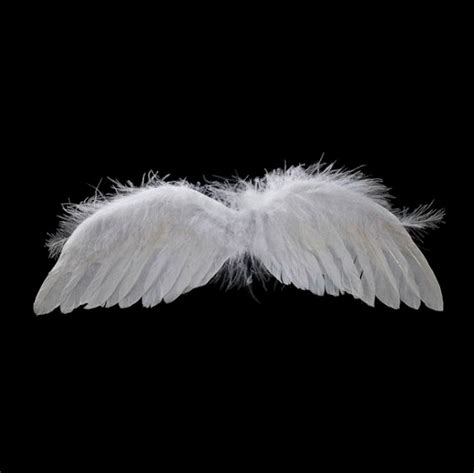 Angel Wing Feathers