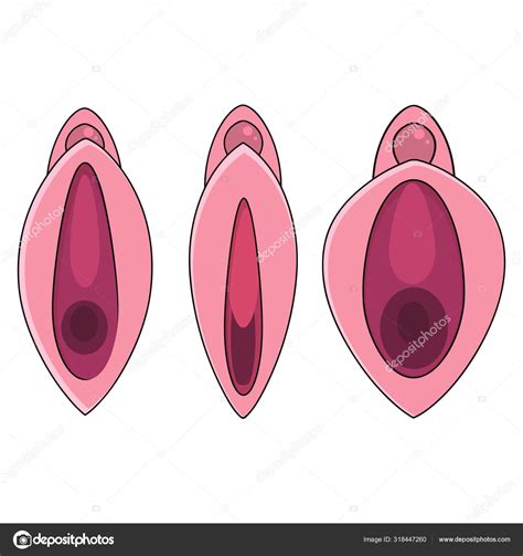 Vagina Humana Ilustraciones Stock Vectores Y Clipart The Best Porn