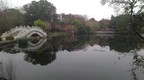 THE 10 BEST Things to Do in Huizhou - 2022 (with Photos) | Tripadvisor ...