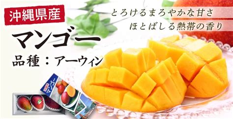 【産地直送】沖縄県産 マンゴーアーウィン秀品 約1kg ≪送料込み≫ 産地直送 Green Market オンラインショップ