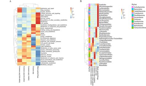 Heat Map Of The Relative Abundance Of The Top Level Ii Kyoto