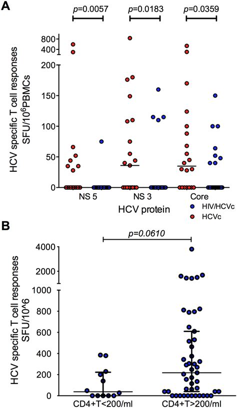 Hcv Specific T Cell Responses Are Important In The Control Of Hcv Viral