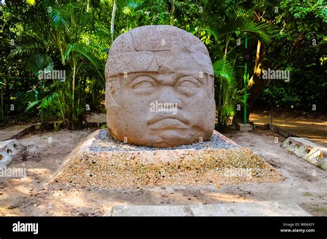 Giant Olmec Stone Head - Villahermosa, Mexico Stock Photo - Alamy