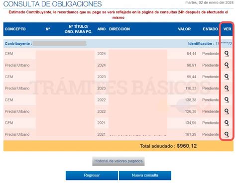 Consulta Y Pago Del Impuesto Predial Quito