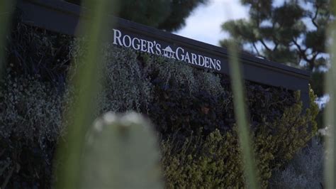 Roger's Gardens Sees Surge In Plant Sales