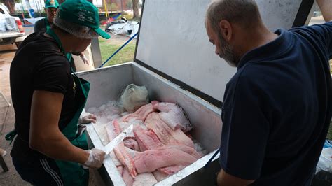 Duas toneladas movimentam quarta edição da Feira do Pirarucu de Manejo