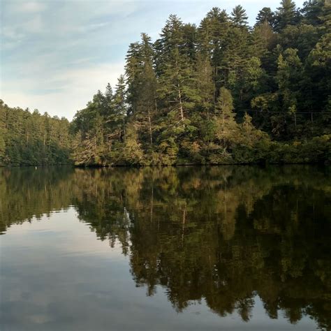 Lake Rabun Beach Recreation Area Camping Lakemont Ga The Dyrt