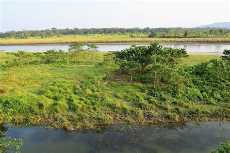 Meghauli Village, West Chitwan National Park: About Chitwan National Park