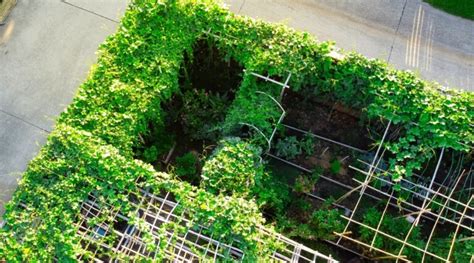 beautiful design ideas  small gardens