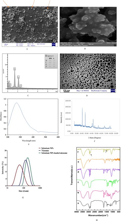 The Synthesized Senps And Niosome Loaded Senps Characteristics A