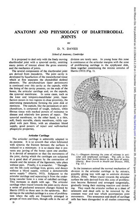 Pdf Anatomy And Physiology Of Joints · Anatomy And