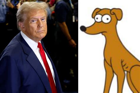 Simpsons memes go viral after Trump claims that ‘dogs are being eaten ...