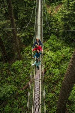 Greenheart TreeWalk - UBC Botanical Garden Grand Fir, High Ropes Course, Forest Sounds ...