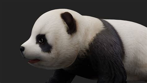 Panda A2 Animated - 3D Model by Animated3d