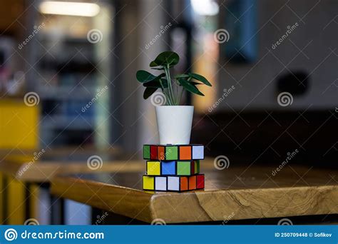 Kuala Lumpur Malaysia Th November Plant On A Cube Of Rubik