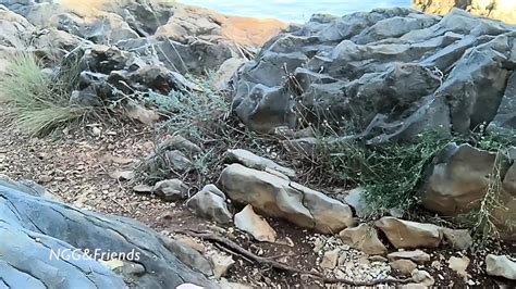 Vidéos porno Non Nude gratuites xHamster