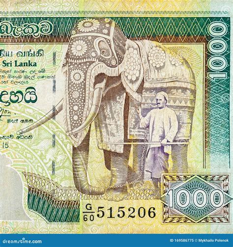 Sri Lankan Rupees Money Bill National Currency Of Sri Lanka Royalty