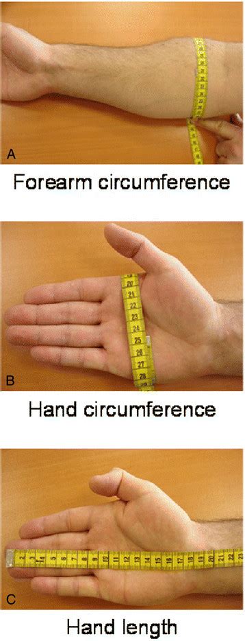 Measurements Of Anthropometric Characteristics Of Hand And Forearm