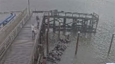 Newport Sea Lion Docks Destroyed By Winter Storm Youtube