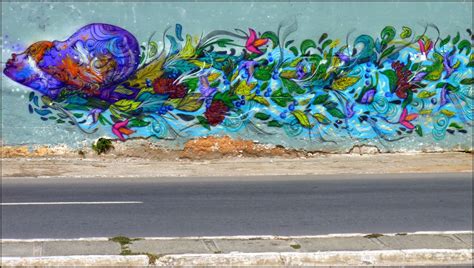 Banco De Imagens Flor Grafite Arte De Rua Mural Bahia Brasil Salvador 3353x1898