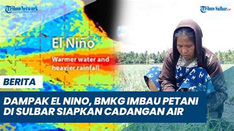 Dampak El Nino Bmkg Imbau Petani Sulbar Siapkan Cadangan Air Hadapi