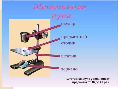 Увеличительные приборы - презентация онлайн