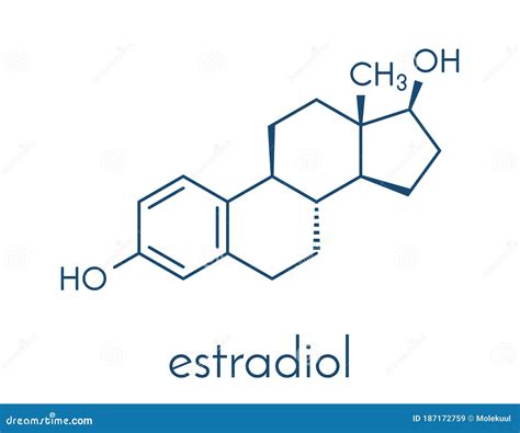 Estradiol E Estrogenio São A Mesma Coisa