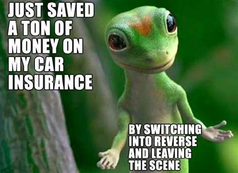 Geico gecko Memes