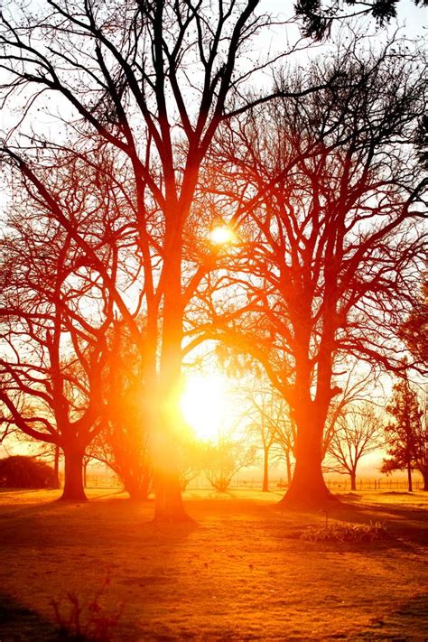 Estantia El Ombu San Antonio De Areco Argentina Beautiful Nature