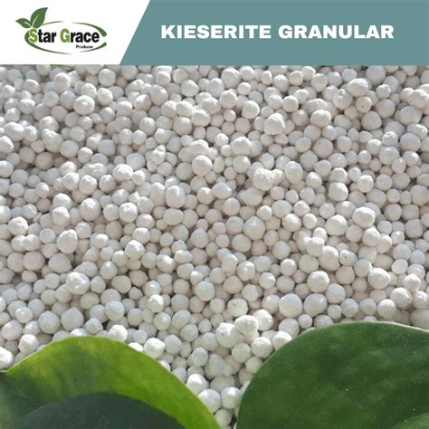 China Kieserite Fertilizer Magnesium Sulphate Suppliers Producer